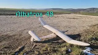 Albatros 48 2025 12 29