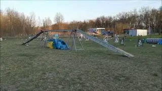 Running contacts - dogwalk