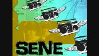sene- 99 monkeys