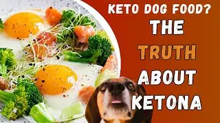 Ketona Dog Food Review 2023 | Is Ketona Dog Food Good for Senior Dogs?