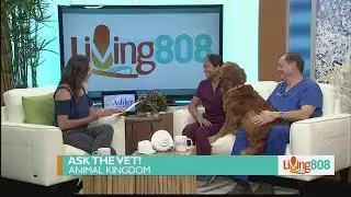 Animal Kingdom:  Pet Questions and Answers