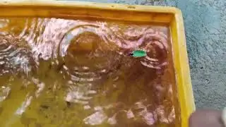 Pen Ink Reaction in Leaf | leaf Ink Boat |