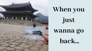 WHAT NOBODY SAYS ABOUT COMING HOME| Reverse Culture Shock
