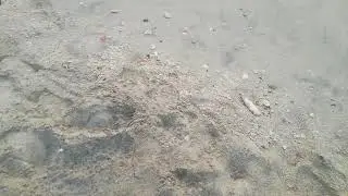 Al Khan Beach Sharjah