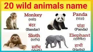 20 wild animals name with pdf | animals name | 20 janvaro ke naam | janvaro ke naam | animal name