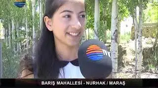 ALÇİÇEK - BARIŞ (Elbistan)