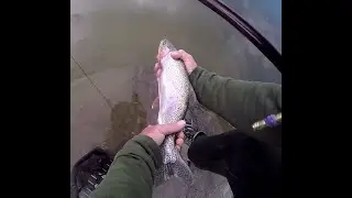 Tenkara fly fishing spring run off for Rainbow Trout #tenkara #keiryu #river #catchandrelease #fish