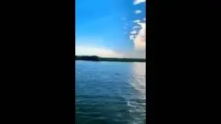 Sabine lake redfish