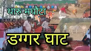 Tharu Maghauta Song 2082 || Dagar Ghat