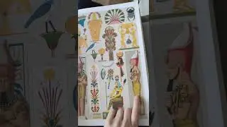 Обзор энциклопедии орнаментов The World of Ornament