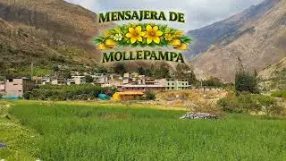 Mensajera de Mollepampa - Rio Grande