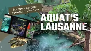 AQUATIS Lausanne - Europe's Largest Aquarium-Vivarium