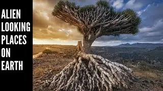 Alien Looking Places On Earth