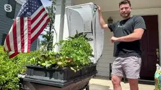 Vegepod Self-Watering Small Container Garden with Stand & Cover on QVC