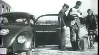 1947 beetle