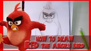 How to Draw RED from Sony Pictures' ANGRY BIRDS - @dramaticparrot