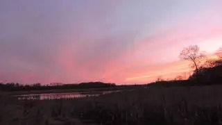 Hear the Sora WakeRobin Boardwalk Mentor Marsh Nature Preserve 4222017