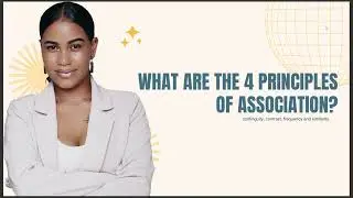 WHAT ARE THE 4 PRINCIPLES OF ASSOCIATION 2025