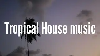 ( Tropical House Music ) Coral Reef - Spiring [ Amaiera Music ]