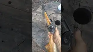espingarda 38 de tanbo