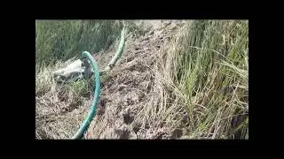 किसान कैसे जगह से खेत में पानी लगाते हैं 😱👳🌾Dekhe full vlog video#kisan#kheti#khetibadi#sichai#pani 