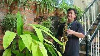 T&igrave;m Về B&ecirc;n Ch&uacute;a - Saxophone Sơn Lịn