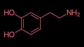 XCIX - Dope Drive (Story 41)