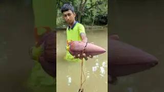 Unbelievable Fish Catching Method With Banana Peel Bait#fishing#riverside