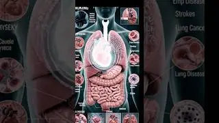 Smoking Destroys the Human Body | Say No to Cigarettes