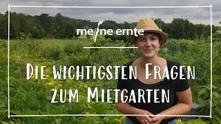 meine ernte Mietgarten  - Die wichtigsten Fragen und ihre Antworten 🥕