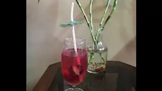Plum Cooler | Summer Cooler | Refreshing Plum Drink
