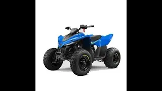 Cfmoto Cforce 110 from 2022 - Service Repair Manual - Wiring Diagrams