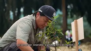 Establishing A Wildlife Corridor At Bukit Tabin