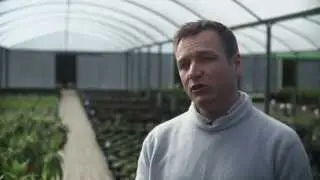 Arthritis Research UK CFS Garden 2013