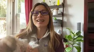 Stop Chasing Joy, and Start Living It! Episode #10/Ann Thai Group