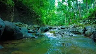 Waterfall Pool Ambience &mdash; Gentle Flow for Meditation, Yoga & Calm Focus