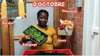 Semis, repiquage, plantation et récolte du mois d'octobre 🍂🍁🍂🍁