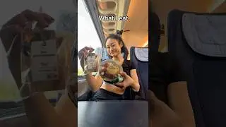 What I eat on my train ride from Amsterdam to Berlin 🇩🇪🌯