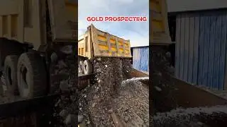 so much black sand contains gold, #mining #gold #prospecting