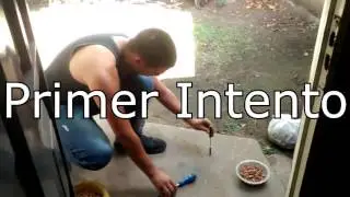 Explotando Fulminantes De municiones - Las Locuras De Los Bro