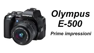 Olympus E-500 - Prime impressioni