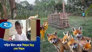 অনেক পরিশ্রমের পর শিয়াল ধরার ফাঁদ টি তৈরী করলাম। পর্ব:-২