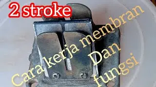 Fungsi dan Cara kerja Membran RX-KING 