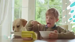 Don't get a labrador until you watch this #viralvideo #puppy #jugnu #shortvideo #shorts #subscribe