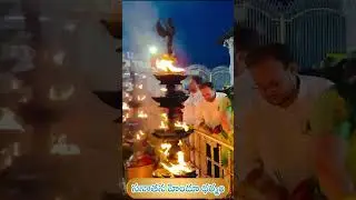 Tirumala Tirupati Temple 🛕| ttd |  Tirupati balaji darshan | tirupati balaji status 🙏 #shorts