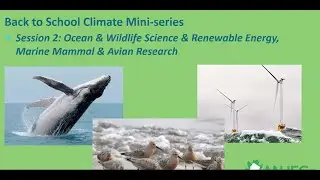 Climate Change Mini-Series: Ocean & Wildlife Science, Avian & Mammal Research