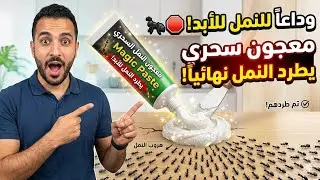 طريقة فعّالة لمنع النمل من دخول خلايا النحل (مجرّبة وآمنة)🐝⚠️🚫🐜