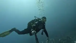 Diving in Egypt - Tulip Resort House Reef (Turtle) [2024.12.03]