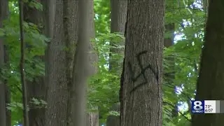 Investigation underway into swastikas painted on trees in Penfield