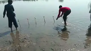 live run carp pakistani River Fishing 🎣 Single Hook Big Fishes To Catching unique style